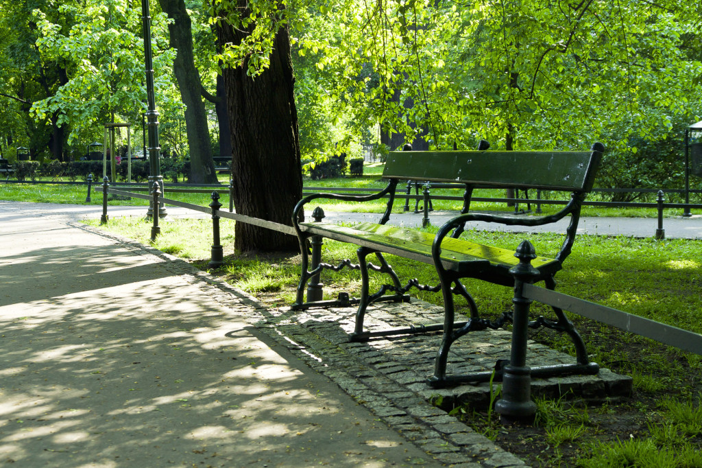 Bench in green park