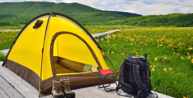 花と緑のテントキャンプ