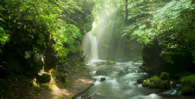 軽井沢